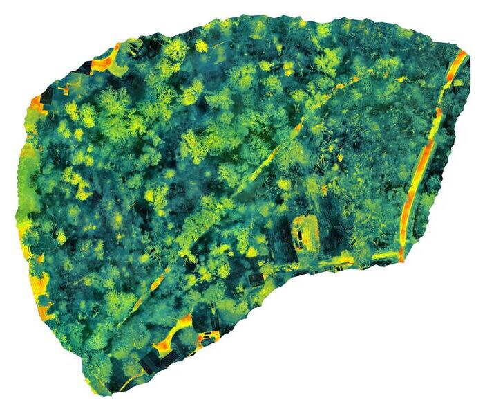 Orthomosaic from a thermal mapping mission: North Woods